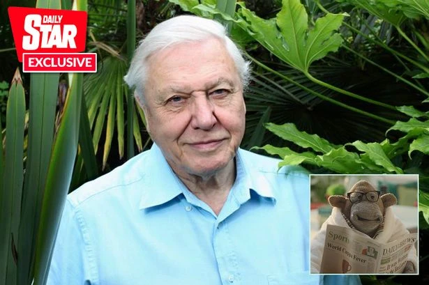 Television icon eyes up David Attenborough collab after 'spotting him in his bush'