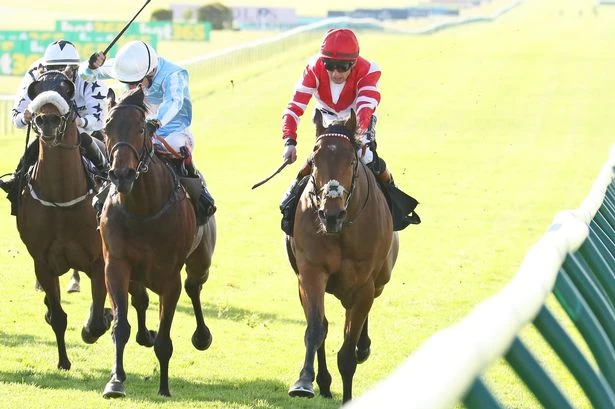Racing tips from all seven Saturday meetings