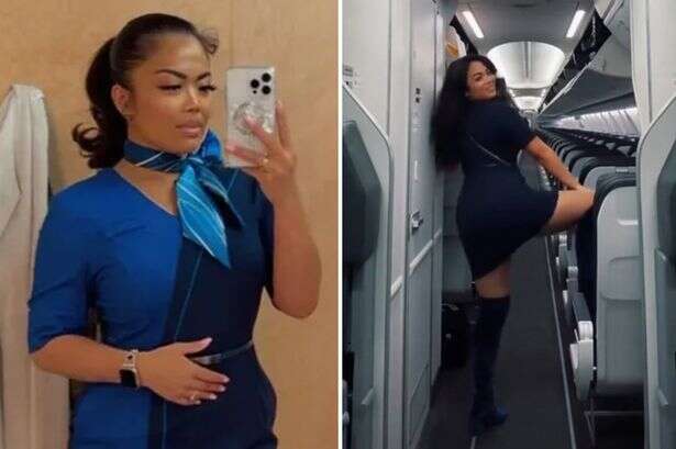 Flight attendant breaks silence with cheeky jibe after losing job for twerking on plane