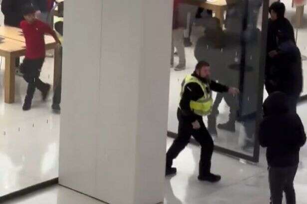 Hooded gang storm past security to raid Apple Store at major London shopping centre