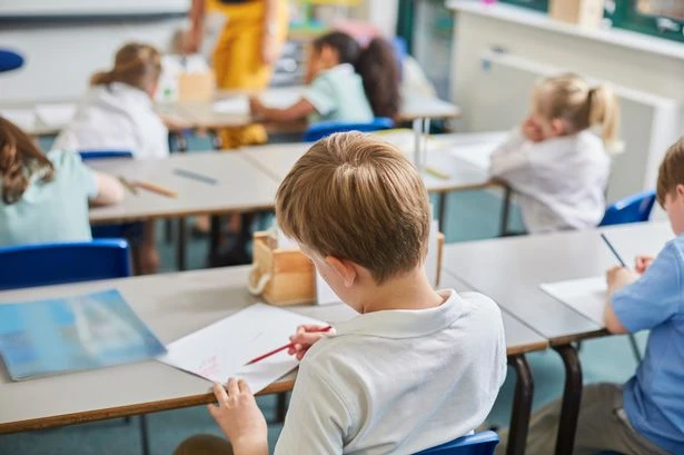 Parents want six-week school holidays to be cut as experts say break turns kids thick