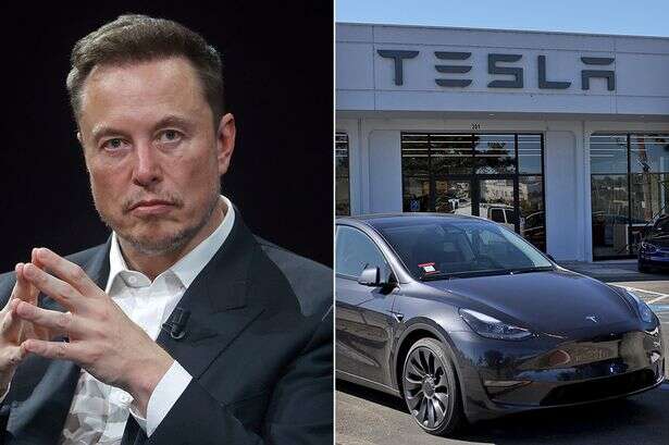 Elon Musk accused of 'destroying' Tesla’s brand by being on 'wrong side' of buyers