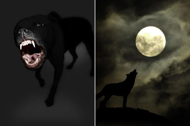 UK’s most terrifying canine legends – from werewolves to the feared Black Dog