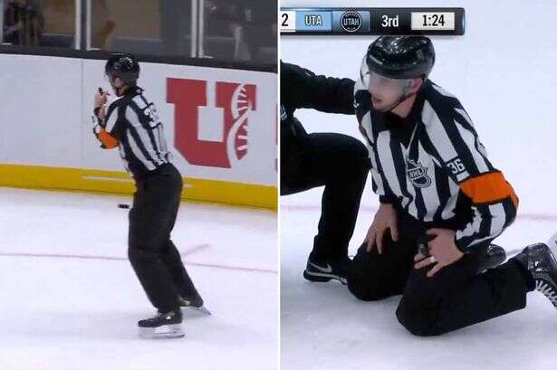 Ice hockey ref gets standing ovation after suffering every man's worst nightmare