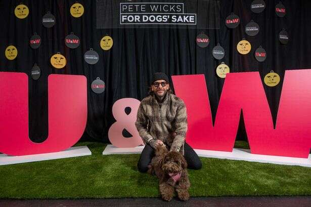 Pete Wicks hosts 'red paw-pet' event for Dogs Trust to launch new show