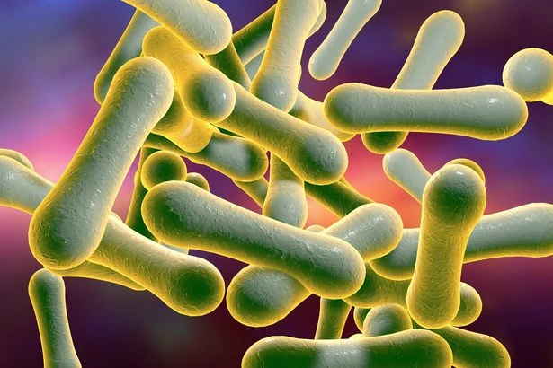 Unvaccinated Brits issued urgent warning over 'worst outbreak in decades' strikes