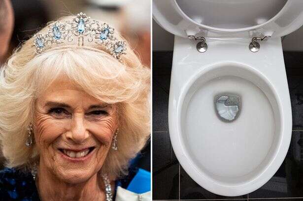 Queen Camilla has special lady-in-waiting appointed to help her find a toilet