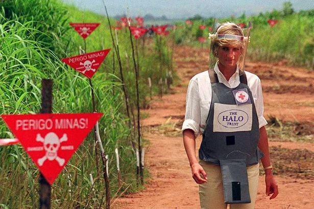 Prince Harry steps into live minefield like mum Diana after 60,000 blown up