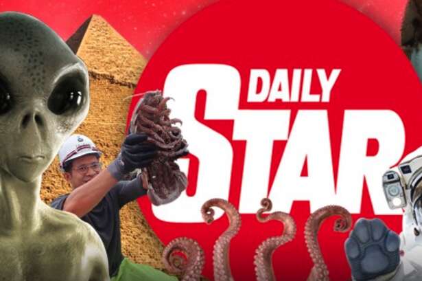 Tell us what you think of www.dailystar.co.uk and get paid £80 for your trouble