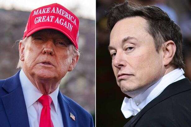 Elon Musk crowned world’s 'sexiest entrepreneur' by UK women as Donald Trump makes list