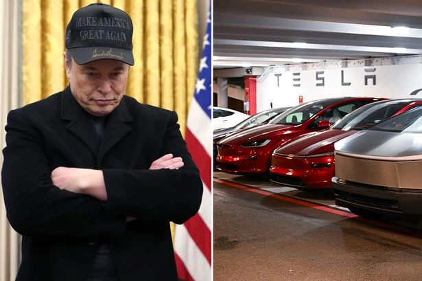 Elon Musk's raging caps lock rant in response to claims Tesla are replacing him as CEO