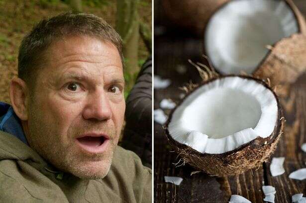 Killer coconuts warning as TV star says death by shell fruit more likely than a shark