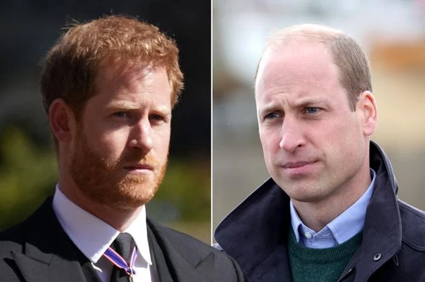 Prince William and Harry will 'put on brave face' for Diana celebration