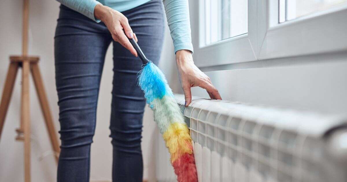 Brits mortified after discovering how much dust gathers in radiators - and it's costing you money