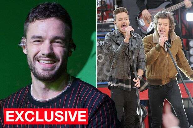 Hidden meaning behind Harry Style's tribute to Liam Payne after fans slammed 'script'