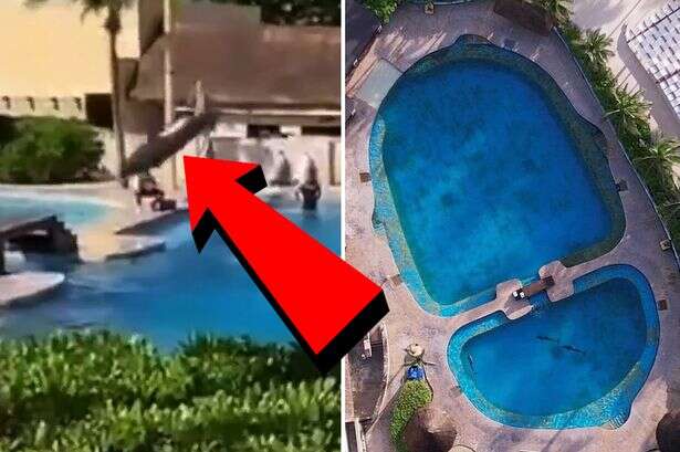 Tragic moment dolphin leaps to its death in front of families at infamous resort