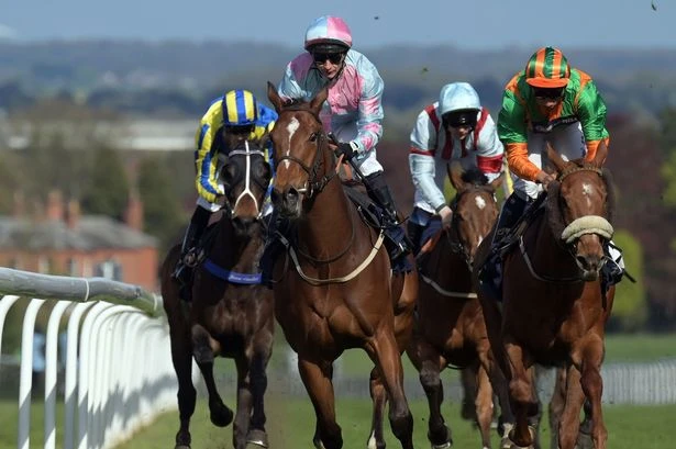'I fancy trainer's winning streak to continue with rip-roaring form'