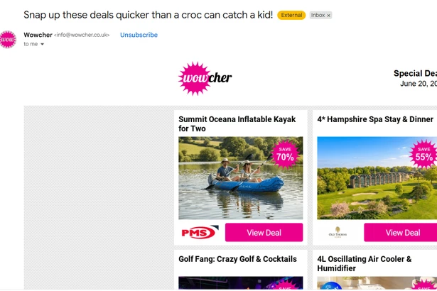 Wowcher slammed over using boy, 3, 'thrown in crocodile enclosure' in 'disgusting' email