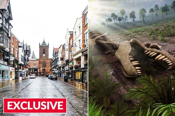 Britain's high street will 'face same fate as dinosaurs' if retailers fail to do one thing