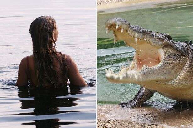 265 crocs removed from Australian waterways as fears grow killers are lurking closer to swimming holes