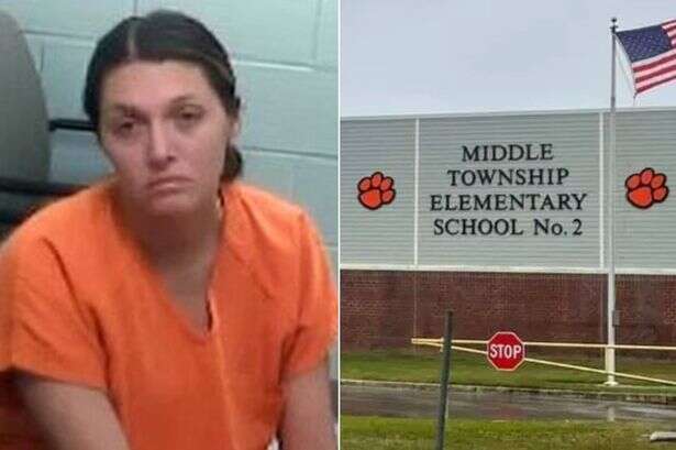 Teacher 'who had student's baby threw herself a shower and said dad was out of picture'