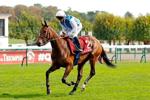 'French filly hard to beat but 33-1 shot a silly price' – Jason Heavey's Prix de l'Arc de Triomphe verdict