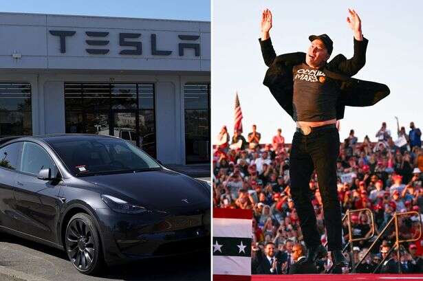 Elon Musk could be 'kicked out' of Tesla as investor dubs him 'detrimental to the company'