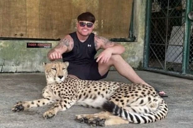 'Ibiza Final Boss' poses with 'heavily sedated cheetah' as people rage 'that's not a flex'