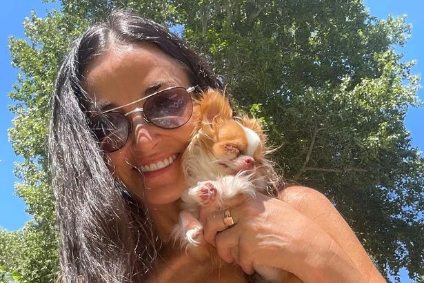 Demi Moore heartbroken after death of beloved dog she took everywhere
