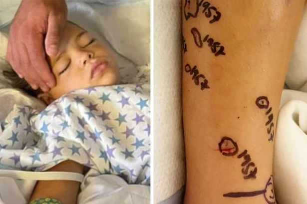 Five-year-old girl fights for life in hospital after being attacked by a rattlesnake