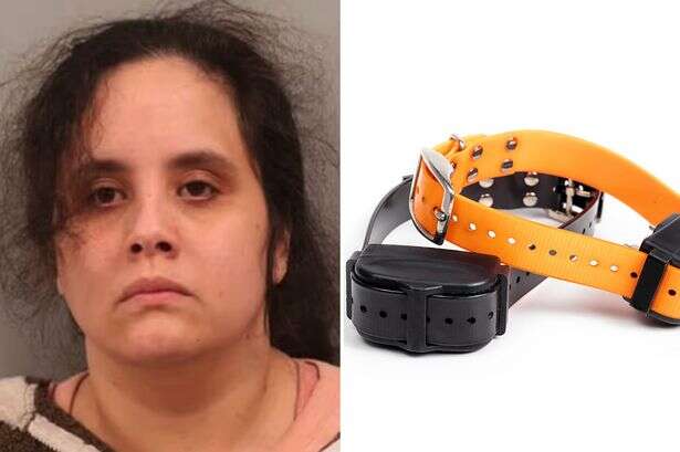 Sick mum, 30, arrested for forcing own son to wear electric shock dog collar