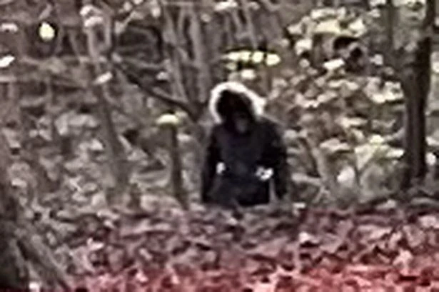 Spine-chilling photo of 'werewolf' spotted in UK woods as experts issue ominous warning