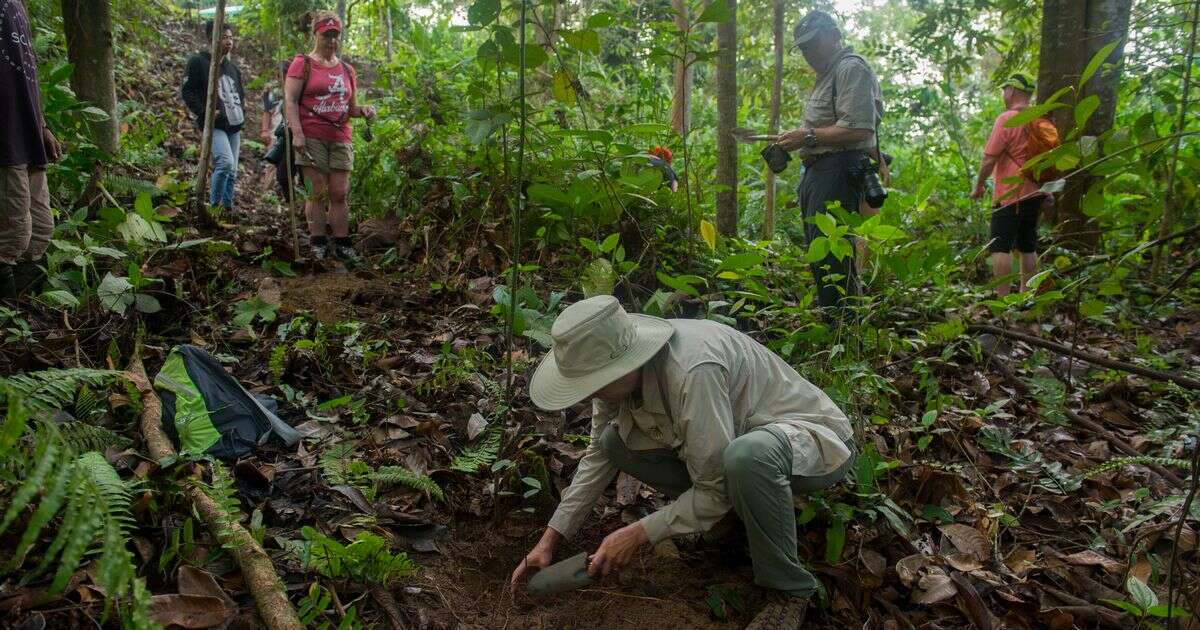 Only those with 'expert' eyesight can spot snake hiding in less than 30 seconds