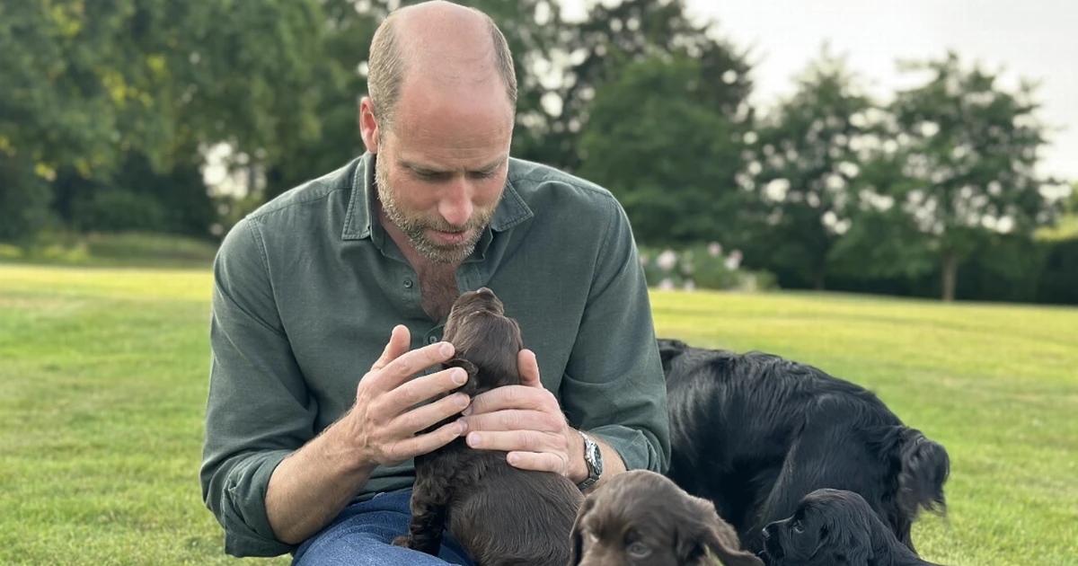 Kate Middleton shares adorable Prince William birthday photo with new puppies