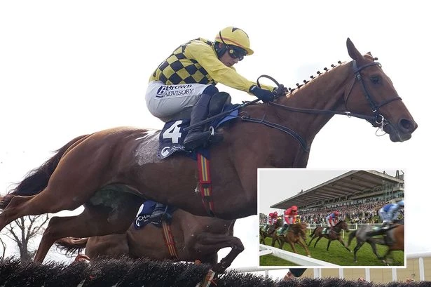 Horse dies after horror fall during Sandown's feature race, with viewers saying they 'feel ill'