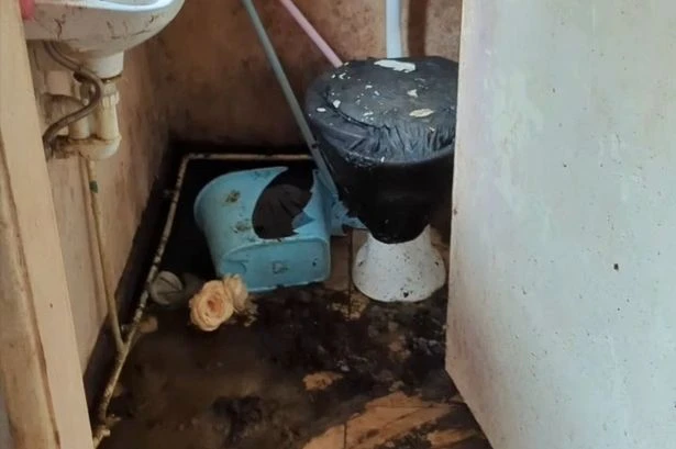 Pet owner left 12 cats to rot in hell house as 'skeletal remains' found in 'most distressing' case