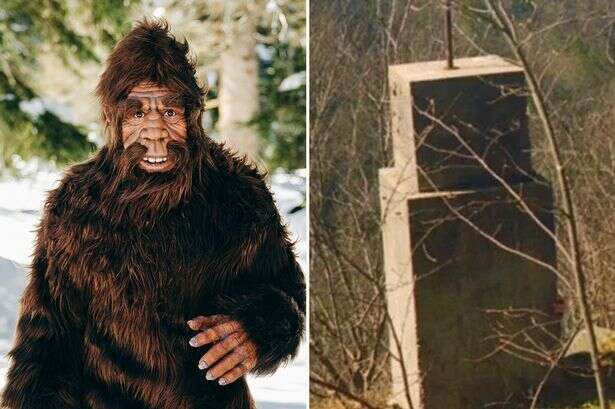 Eerie detail discovered in photo taken by couple at notorious Bigfoot hot spot