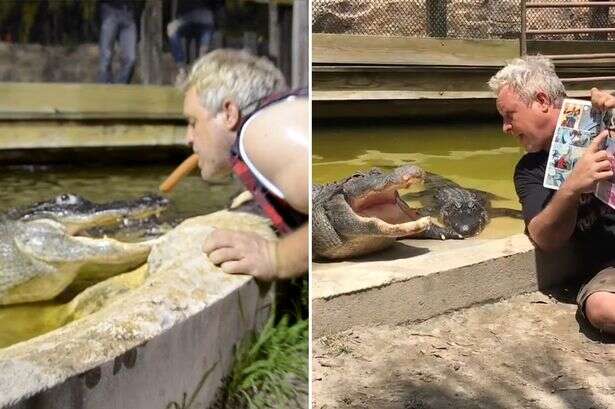 'Gator Crusader' feeds alligators hot dogs with mouth and handles them blindfolded