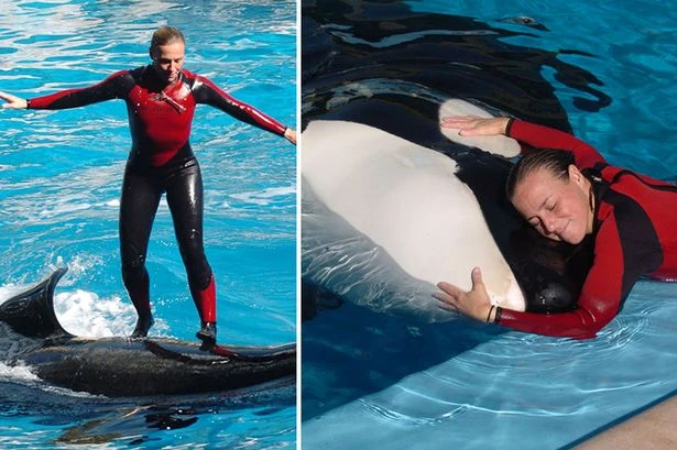 My sister was killed by SeaWorld orca - it haunts me every day