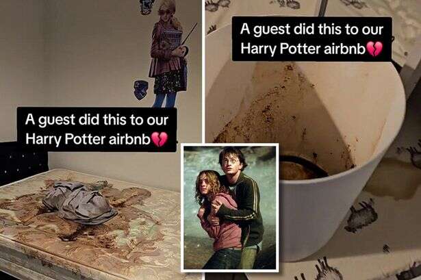 Harry Potter-themed Airbnb wrecked as owner 'traumatised' at brown stains