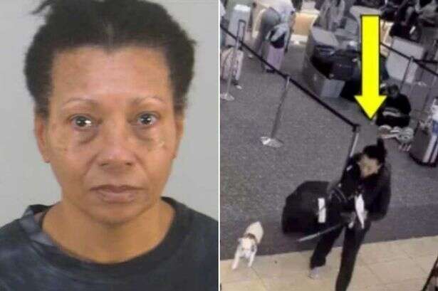 Woman told dog can't board plane with her so drowns it in airport loo and crams in bin