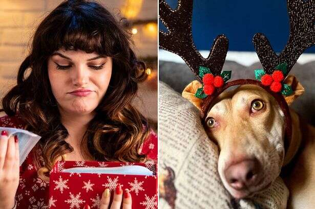 Your worst Christmas gifts as woman vows divorce over 'kitchen bin and dog mattress'