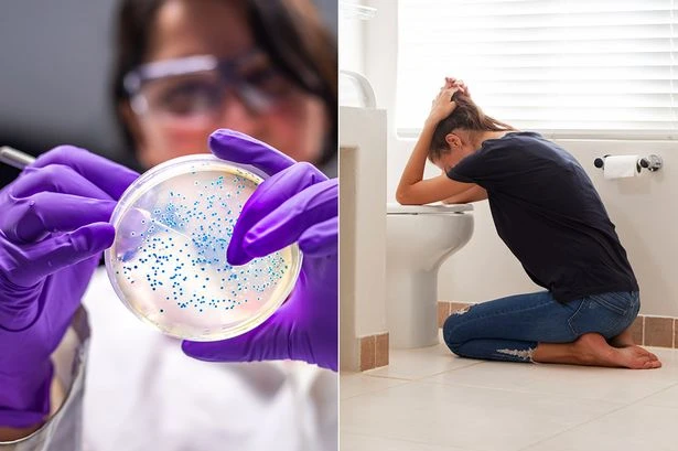 UK health bosses give urgent E.coli warning as infections double and on the rise