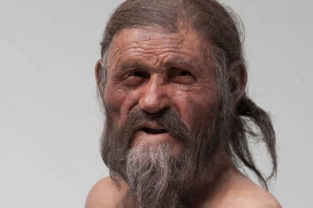 Iceman's body is covered in ancient yeast and scientists just used it to make a sourdough