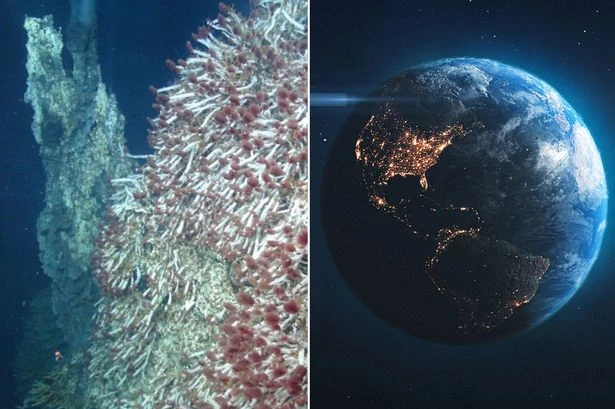 Earth 'does contain alien life' and it could mean another giant planet can sustain humans