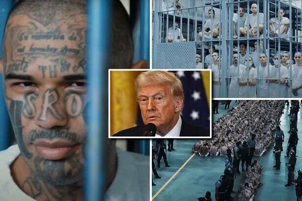 El Salvador's 'Hell on Earth' prison of tattooed killers after jail catches Trump's eye