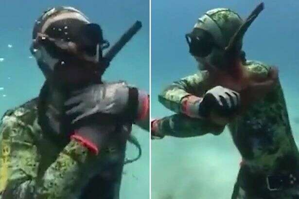 Terrifying Footage of octopus attack as diver fights off beast trying to strangle him