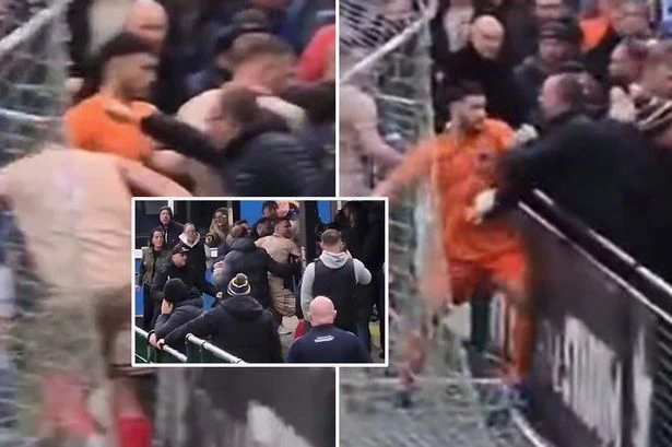 Football match abandoned after brawl breaks out as' keeper punches fan'