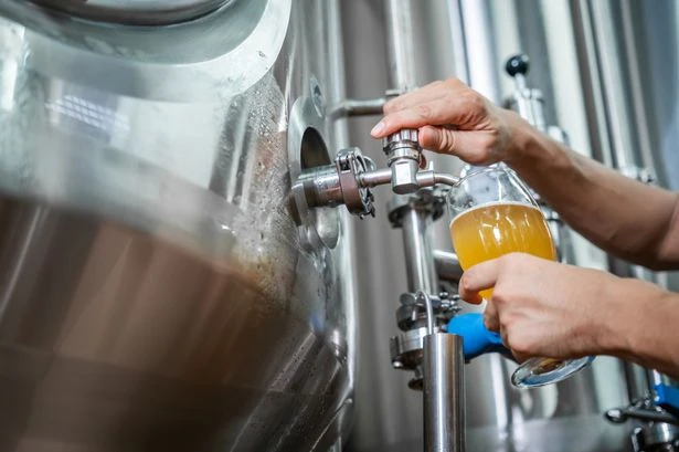 Enjoy Beer Day Britain with these wise words from Queens, Sid Vicious and Plato