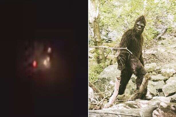 'Bigfoot' dragged into US drone theories as WW3 fears and conspiracies swirl